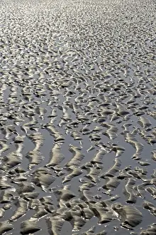 Low Tide North Sea Coast Prints: Sandy beach beach at low tide with wave-like pattern