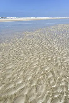 Blue Sky Daytime Photography Prints: Sandy beach beach at low tide with wave-like pattern