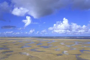 Sandy Beach At Low Tide Prints: Sandy beach at low tide, wavy pattern