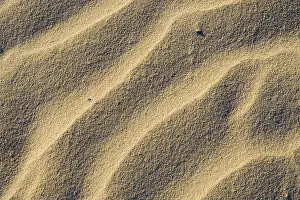 Southeast Asian Coastline Prints: Sandy beach with structures, formed from wind