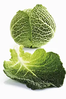 Vitamin Rich Vegetables Prints: Savoy