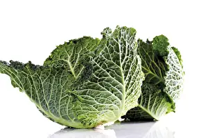 Balanced Diet Images Prints: Savoy cabbage