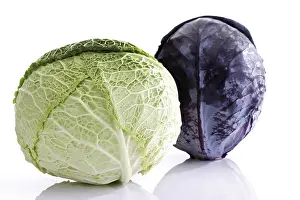 Natural Food Ingredients Prints: Savoy cabbage and red cabbage