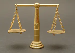 Equal Rights Image Prints: Scale