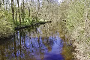 Lower Rhine Nature Photography Prints: The Schwalm, a quiet quiet river flows through sparse forest