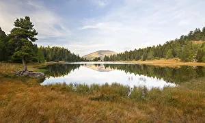 Mountain Lake Scenery Europe Prints: Schwarzsee with stone pine and reflection