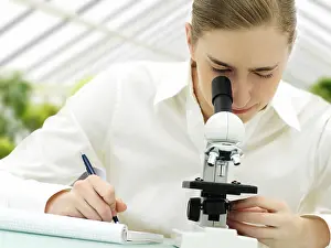 Female Scientist Microscope Prints: Scientist looking through a microscope in a greenhouse