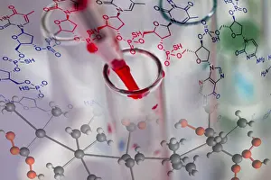 Laboratory Inspection Prints: Scientist shows a diffusion in the Petri dish