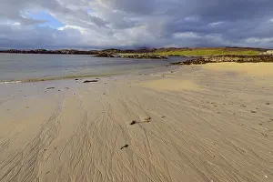 Scottish Countryside Landscapes Prints: Scottish coast with beach in spring