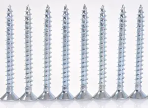 Studio Photography Prints: Screws in a row