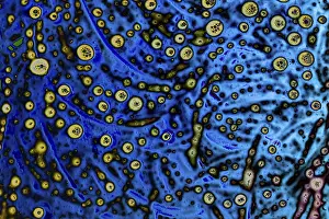 Colorful Background Image Prints: Scribbles all along the colorful background