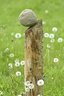 Stone Sculpture Art Prints: Sculpture