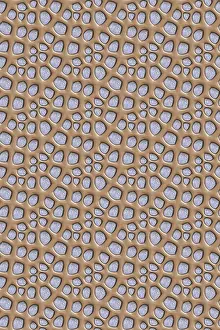 Full Frame Wallpaper Image Prints: Seamless tileable decorative background pattern