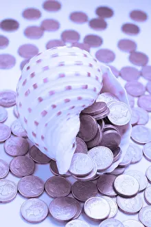 Currency Finance Prints: Seashell overflowing with coins