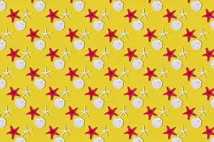 Infinite Seamless Pattern Design Prints: Seashells on yellow background, seamless pattern