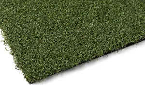 Artificial Turf Grass Prints: Section of artificial turf grass on white background