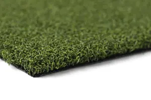 Close Up Grass Prints: Section of artificial turf grass on white background