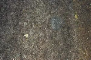UNESCO World Heritage Site Sweden Prints: Section of the Vitlycke petroglyphs