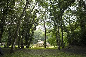 Ancient Maya Cityscape Prints: Seibal or El Ceibal Archaeological Site