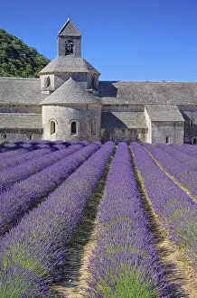 Prints of Senanque 53 Vaucluse Prints: Senanque Abbey Print - Provence, France