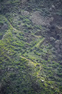 Southern European Landscape Prints: Serpentines of a path on a steep slope