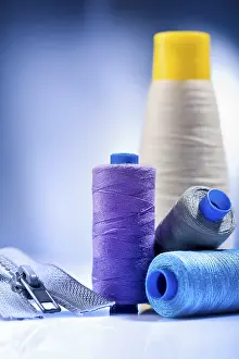 Handicraft Equipment Prints: Set of sewing tools