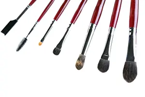 Makeup Brushes Prints: Set of various brushes and applicators for applying makeup