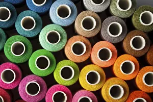 Multicolored Threads Prints: Sewing threads multicolored background closeup