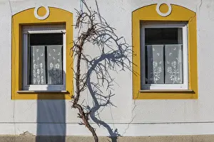 European Historic Fortification Prints: Shadows on a house facade