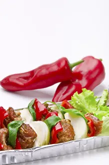 Grilled Meat Nutrition Prints: Shashlik