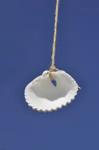 Empty Beach Scene Prints: Shell suspended in the air