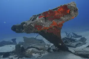 Russian Hydrofoil Wreck Prints: Shipwreck with exposed, rusty structures and fish below