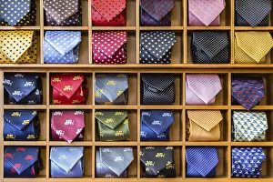 Fashionable Accessories Prints: Showcase with multicolored ties