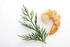 Cutout Food Images Prints: Shrimp and dill
