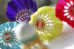 Colorful Bird Feathers Prints: Shuttlecocks made in China