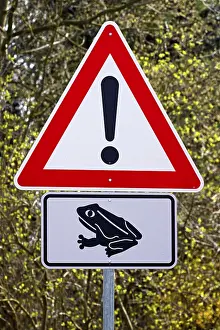 German Road Signs Prints: Sign, toad migration in spring