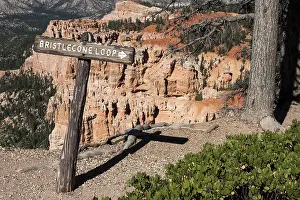 Eroded Landscape Rock Formation Prints: Signpost, Bristlecone Pine Loop Trail