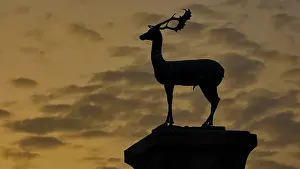 Dodecanese Islands Travel Photography Prints: Silhouette of a Deer against the dramatic background of a sunset
