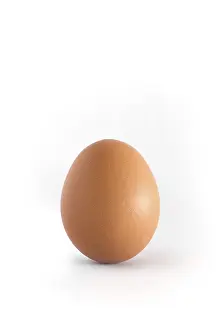 Breakfast Food Prints: Single egg on white background vertical