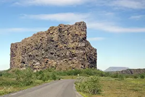 Icelandic National Park Photography Prints: Single rock formation, small forest