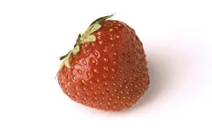 Strawberry Nutrition Prints: Single strawberry