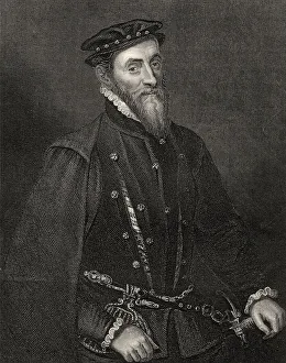 Sir Thomas Gresham Print, 1519-1579 English Merchant
