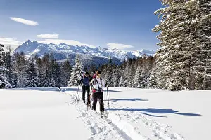 Prints of Ski tourers ascending the Cima Bocche at Passo Valles, behind the Colbricon, Parco Naturale Paneveggio, Pale di San Marino, Dolomites, Trentino, Italy San Marino Prints: Ski Tourers Ascending Cima Bocche Print, Dolomites, Italy