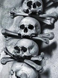 Deserted Graveyard Prints: Skulls and bones