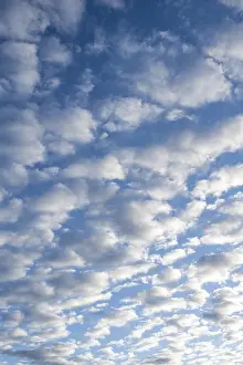 European Landscape Prints: Sky with cirrocumulus clouds, fleecy clouds