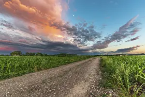 Atmospheric Light Of The Setting Sun Prints: Sky of pink and orange clouds over the fields in the evening at sunset