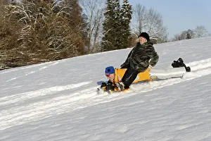 Leisure Activities Prints: Sledding