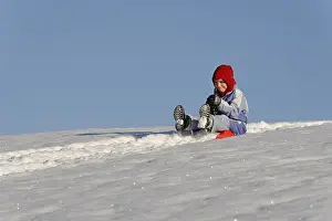 Recreational Activities Prints: Sledding