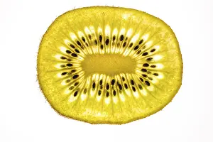 Fruity Still Life Photography Prints: Slice of a kiwi, fruit, white background