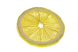 Fresh Citrus Fruit Photography Prints: Slice of lemon, cut out, close up